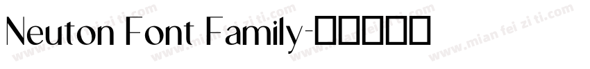Neuton Font Family字体转换
